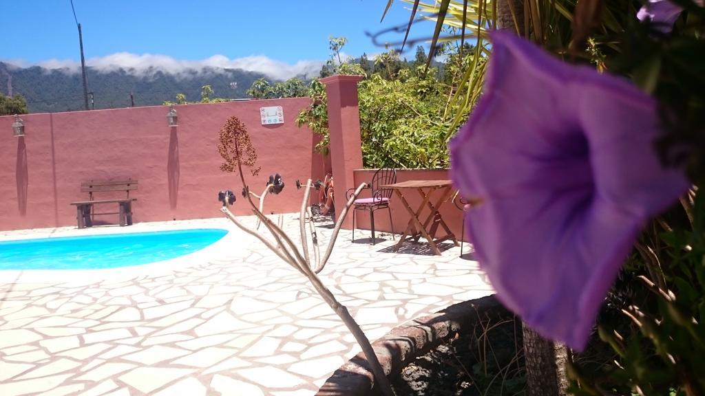 Casitas La Montanita Guest House El Paso Eksteriør bilde
